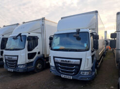 daf lf box 4x2 2019 250204